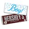 It's a Boy Baby Shower Candy Party Favors Hershey's Chocolate Bars by Just Candy